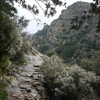 Photo de france - La randonnée du Mont Caroux